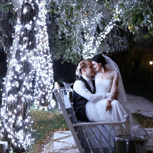 2 Pack Christmas Lights Outdoor