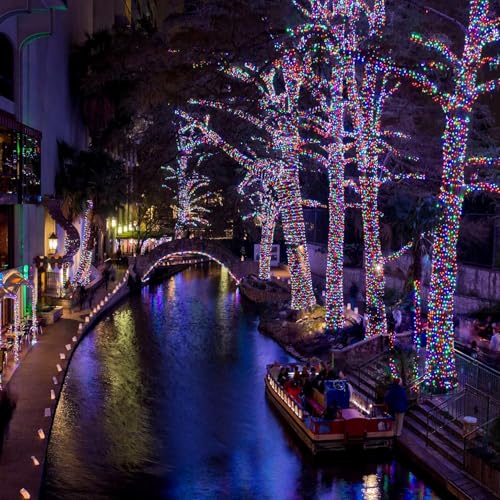Solar Fairy Lights (2 Count)