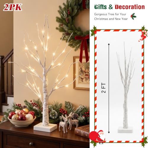 Christmas Decorations (2 Count)