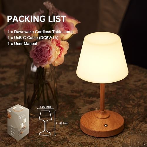 Table Lamp Cordless Lamp