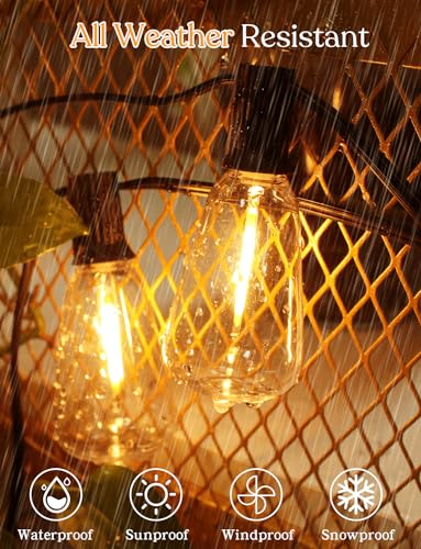 50 FT Outdoor String Lights (50 Foot)