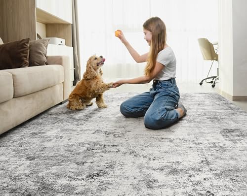 8x10 Area Rug Living Room Rugs (24 Count)