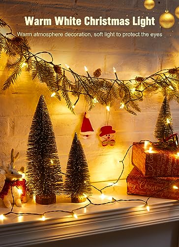 Battery Operated Christmas String Lights with Timer 2 Pack (2 Count)