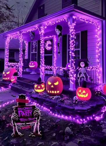 Purple Battery Operated Christmas String Lights with Timer