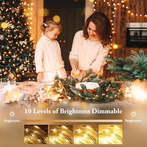 4 Pack 132FT 400LED Fairy Lights (4 Count)