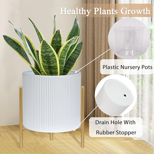 Modern Planter Pots (2 Count)
