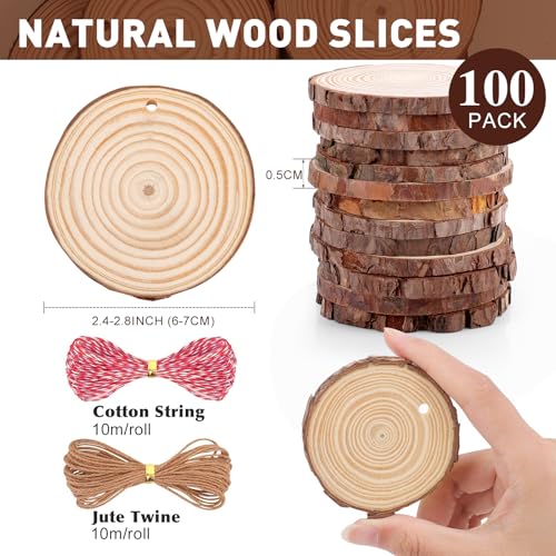 100 Pack Nature Wood Slices for Crafts (100 Count)