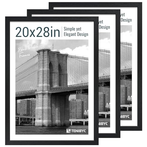 20x28 Picture Frame (3 Count)