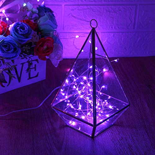 Purple Fairy Lights (10 Foot)