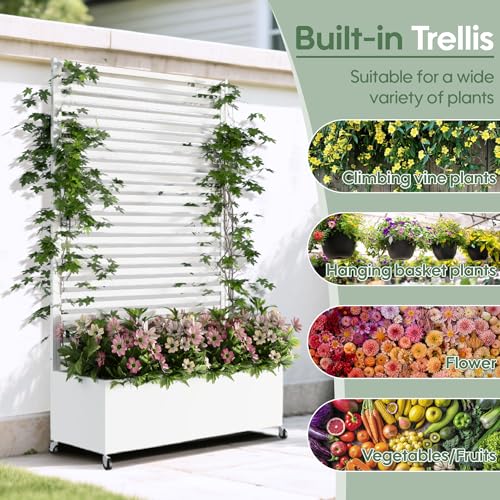 Metal Planter Box with Trellis Privacy Screen