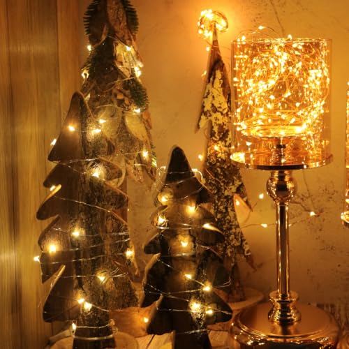6 Pack Fairy Lights Battery Operated (6 Count)