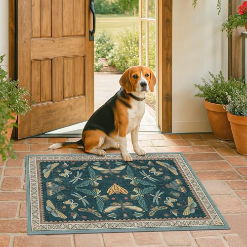 Washable Entry Rugs for Inside House (6 Sq Ft)