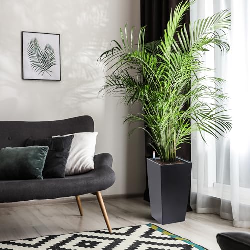 16 in Tall Planters Set of 2 (2 Count)