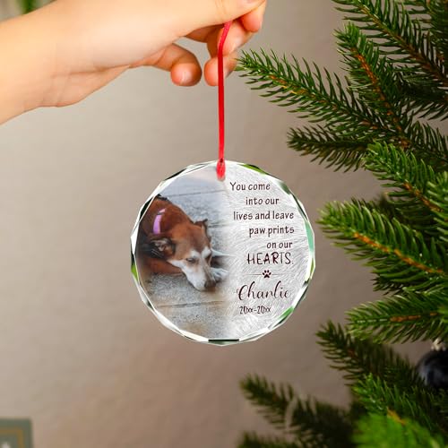 Personalized Memorial Pet Glass Ornament