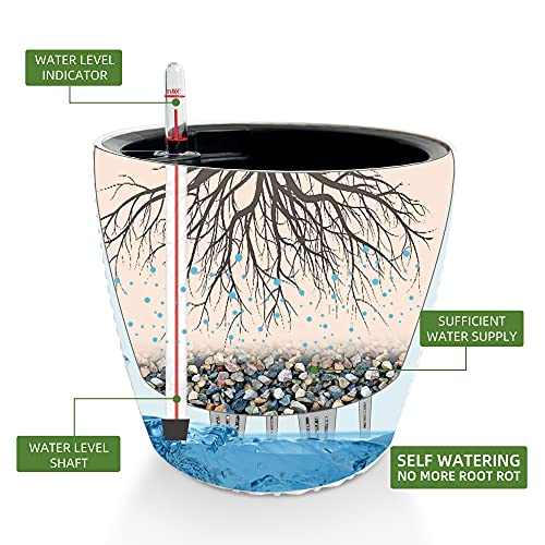 9x8 Self Watering Planter