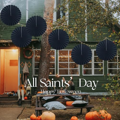 Black Party Decorations Black Hanging Paper Round Fans Set DIY 16in