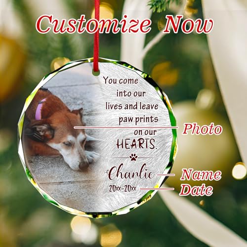 Personalized Memorial Pet Glass Ornament