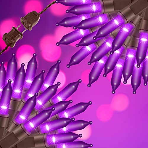 100LIGHTS Purple Extra (100 Count)
