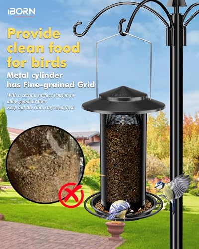 Bird Feeders for Outdoors