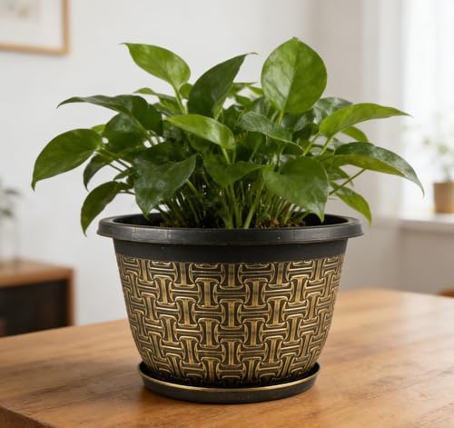 8 Inch Plant Pots (4 Count)