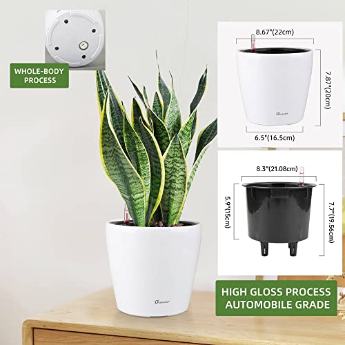 9x8 Self Watering Planter