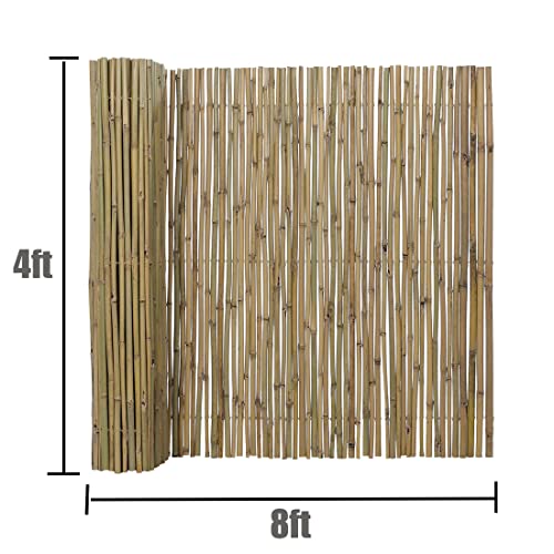 4Ft High x 8 Ft Long x 0.7In D Bamboo Fencing (32 Sq Ft)