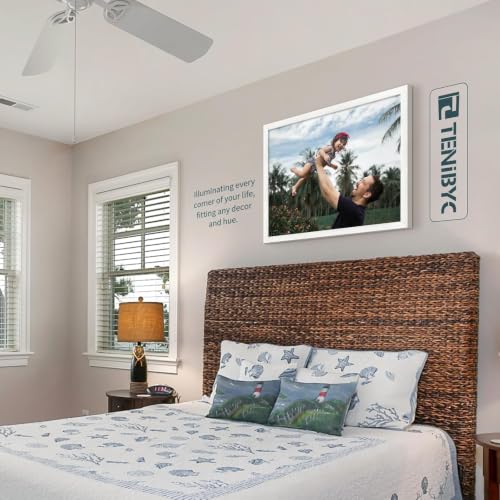 20x24 Picture Frame (3 Count)
