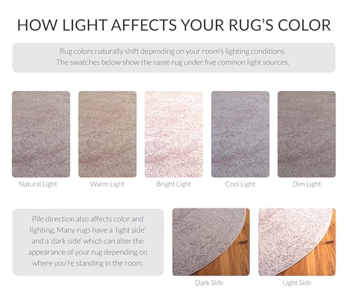 Reflection Collection Area Rug