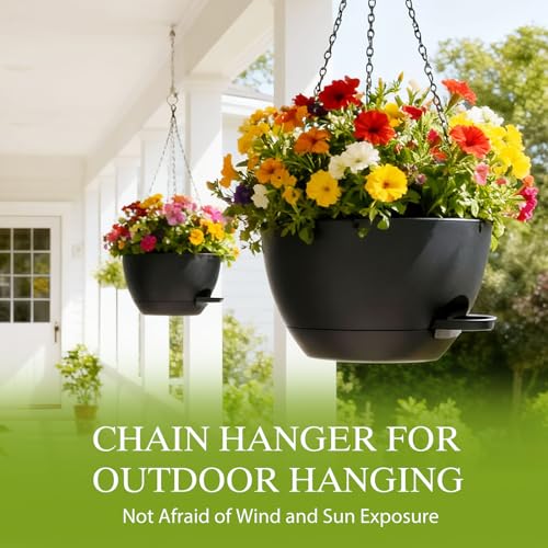 10 Inch Hanging Baskets 2 PC with Chains (2 Count)