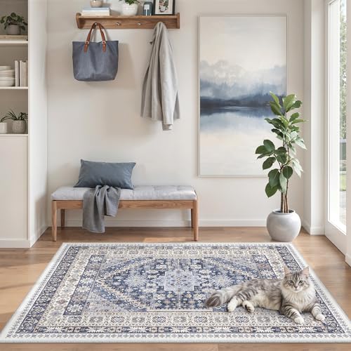 3x5 Rug for Entryway