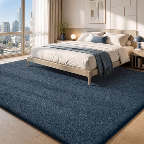 Area Rugs 9x12 for Living Room Bedroom (108 Sq Ft)