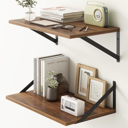 20 Inch Floating Shelves (2 Count)