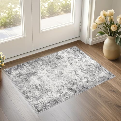 2x3 Entryway Area Rug