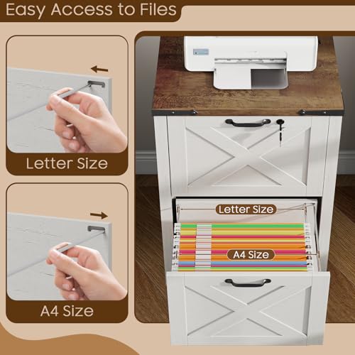 Vertical File Cabinet with 2 Drawers