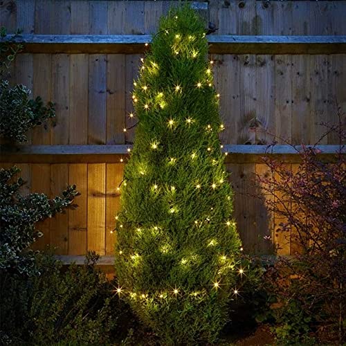 Fairy Lights Battery Operated (20 Foot)