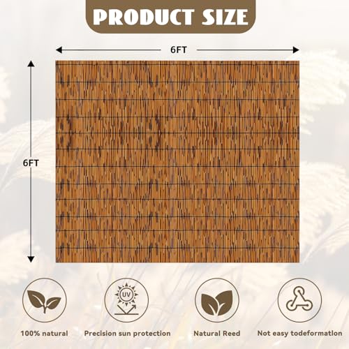 Bamboo Privacy Fence