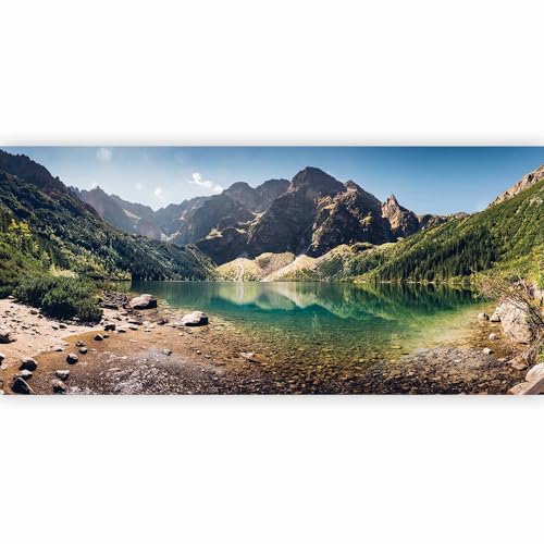 Wall Mural Wallpaper