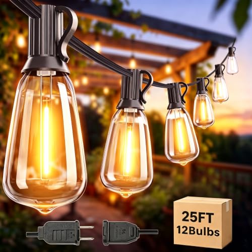 25FT Outdoor String Lights for Patio with 12+1 ST38 LED Bulbs (12 Count)
