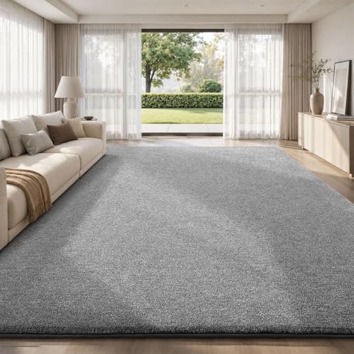 6x9 Area Rugs for Living Room Bedroom