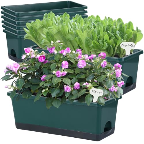 Window Box Planter 8 Pcs (8 Count)