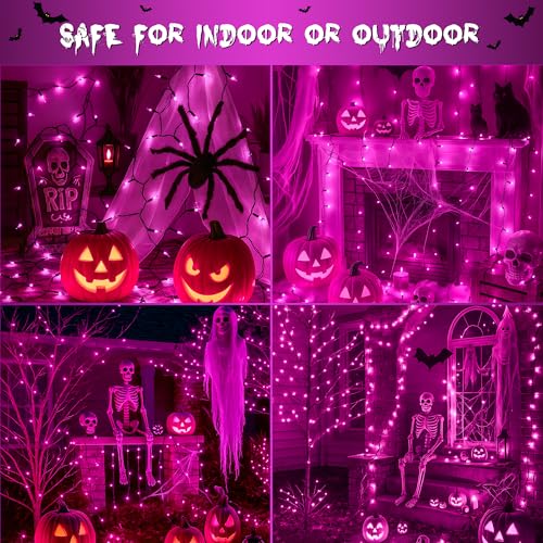 Halloween Purple Lights (50 Count)