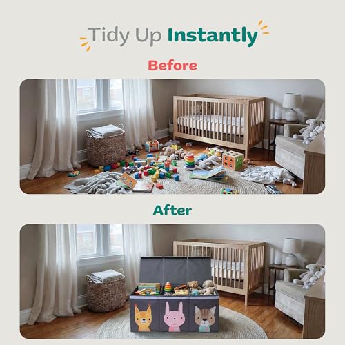 Extra Large Toy Storage Organizer with Lid