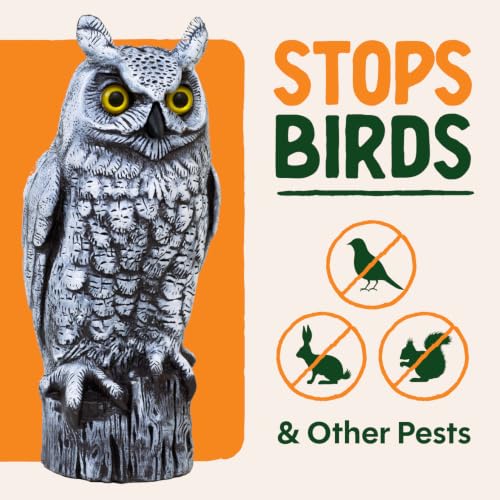 Fake Owl Decoy to Scare Birds Away from Gardens