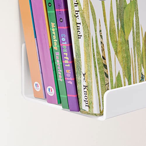 4 Pcs 15" Acrylic Shelves for Wall Organize and Display (4 Count)