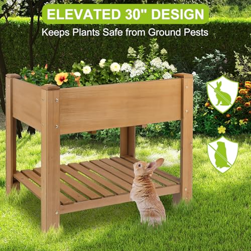 Raised Garden Bed with Legs