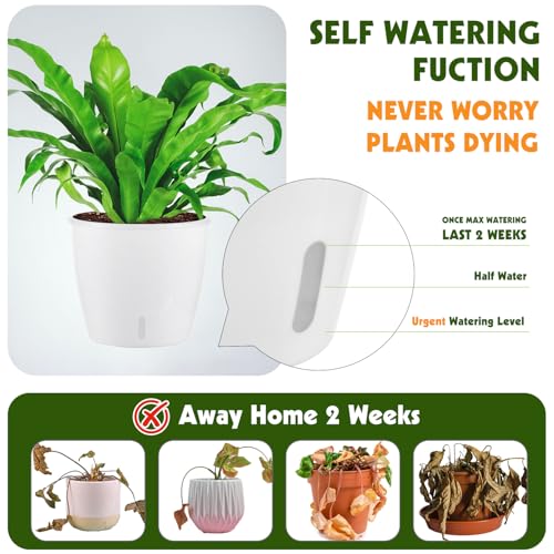 Self Watering Pots for Indoor Plants (6 Count)