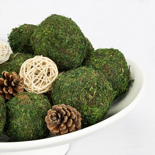 Elegant Ceramic Bowl with Moss Ball Set