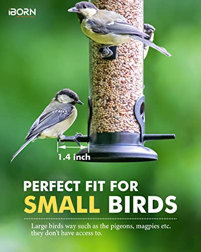 Metal Bird Feeder Hanging Wild Bird Seed Feeder for Mix Seed Blends Heavy Duty All Metal Black Finish (2 Count)