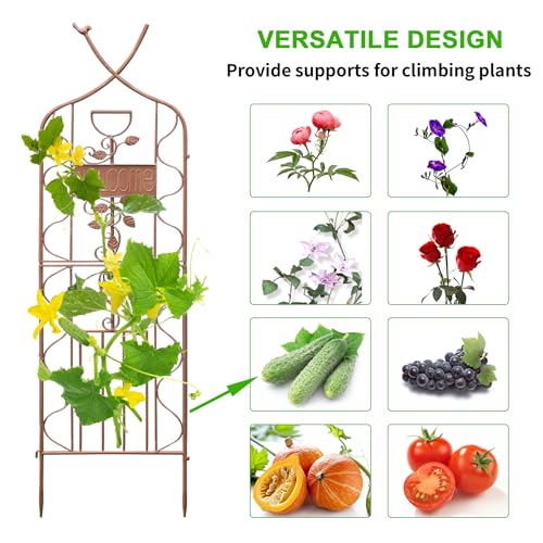 59.5 x 36in Rustic Iron Arch Decoration Garden Trellis with Metal Coating (2 Count)