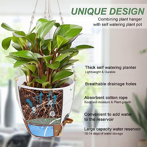 Hanging Planters for Indoor Outdoor Plants